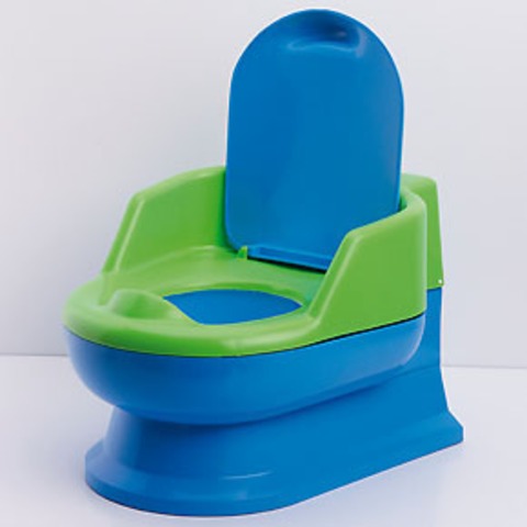 Learnt to use the toliet