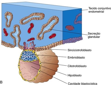 Dia 7 - Início da implantação
