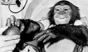 th first chimp to outerspace