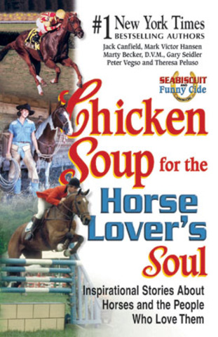 Chicken soup for the horse lovers soul x6