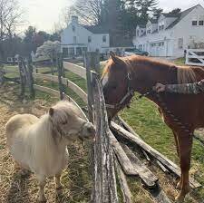 Empecé mi primer trabajo