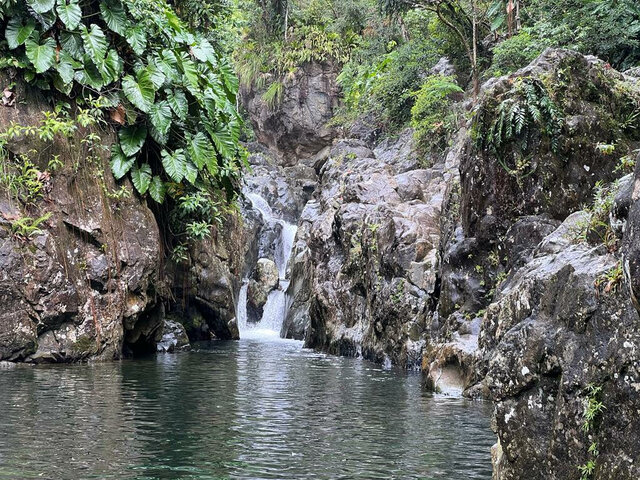 Un viaje en Puerto Rico