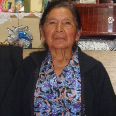 Timeline: Linea de tiempo del PI- Dolores Vacacela