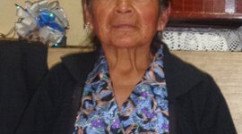 Timeline: Linea de tiempo del PI- Dolores Vacacela