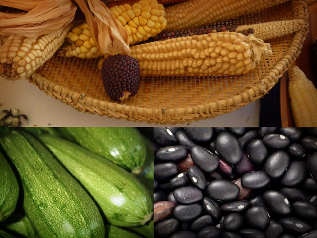 Beans, corn, chili and squash