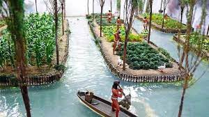 Invention of Chinampas
