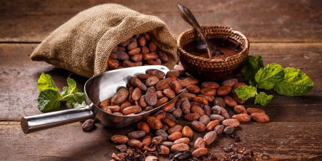 Cacao is discovered