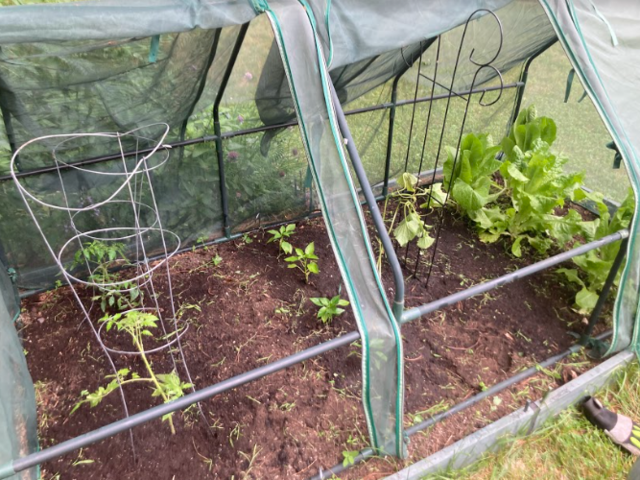 Mi jardín
