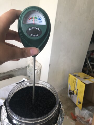 El Experimento de Biología