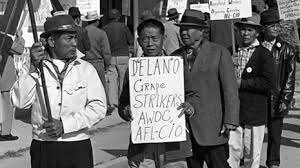 Grape pickers from Delano do a strike