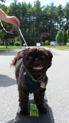 Cumpleaños de mi Pero