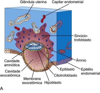 Dia 8 - Implantação