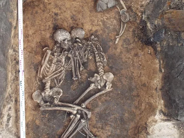 Black plague found in teeth