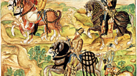 Timeline: Colonizacion Antioqueña