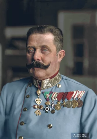 The assanssination of archduke franz ferfinand
