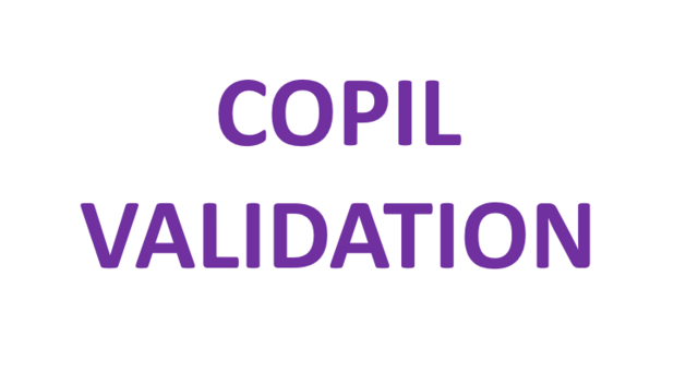 Comité de validation Dossier Vita AIR