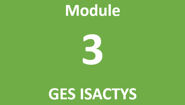 Module 3 GES ISACTYS
