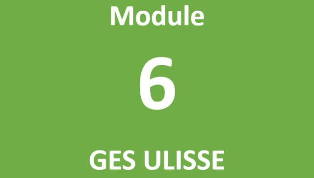Module 6 GES ULISSE