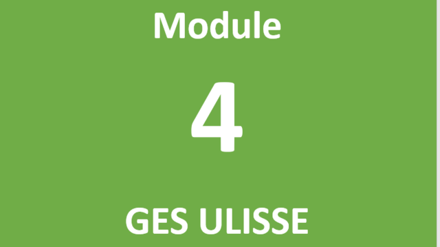 Module 4 GES Ulisse