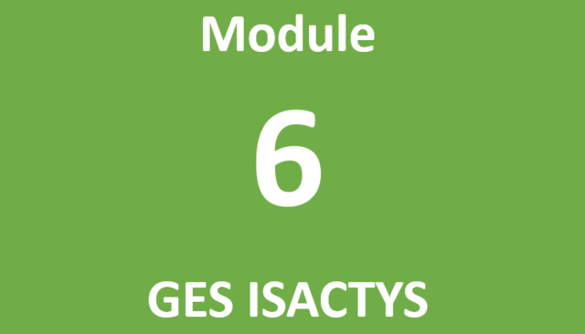 Module 6 GES ISACTYS