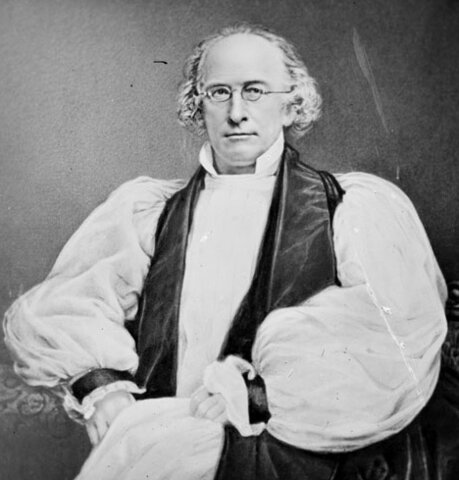 Viola teaches in New Jersey