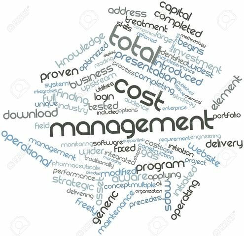 LA AACE INTERNATIONAL LANZA EL MARCO DE GESTIÓN DE COSTO TOTAL (TOTAL COST MANAGEMENT FRAMEWORK).