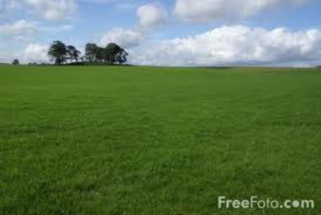 Persians Left Centeral Asia