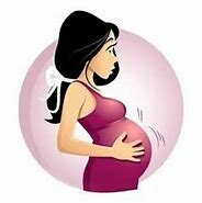 Ley 53  Protección Mujer Embarazada