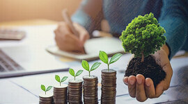 Timeline: CONTABILIDAD AMBIENTAL