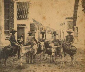 En 1865