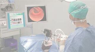 Simulador médico de ginecología (Siteg)