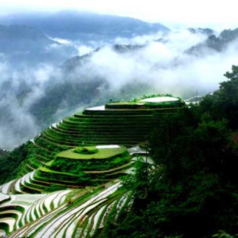 Age of Buddism ended