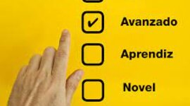 Timeline: RUBRICA DE EVALUACION