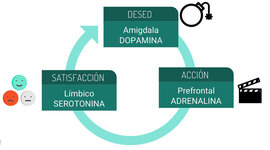 Timeline: Circuito Neurobiológico de la Motivación (DAS)
