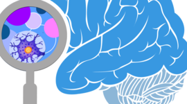 Timeline: PROYECTO MAGAZÍN ESTUDIANTIL - Circuito Neurobiológico de la Motivación (DAS)