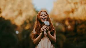 Fase 3. Satisfacción