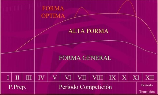 Bompa- Deportes Largo Período Competitivo