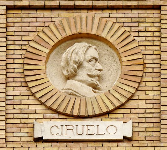 Pedro Sánchez Ciruelo