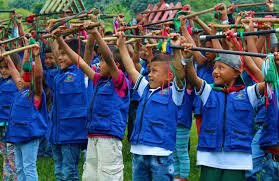 Decreto 1953 de 2013