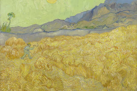 Campo di grano con mietitore - Van Gogh