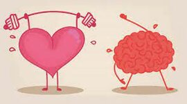 Timeline: Entrenamiento emocional