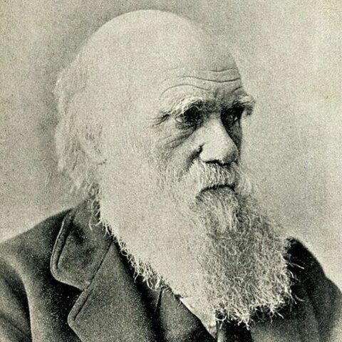 CHARLES DARWIN