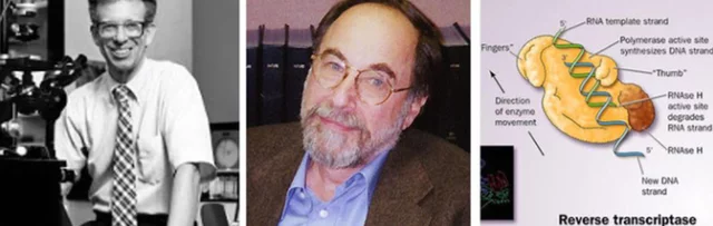 HOWARD TEMIN Y DAVID BALTIMORE