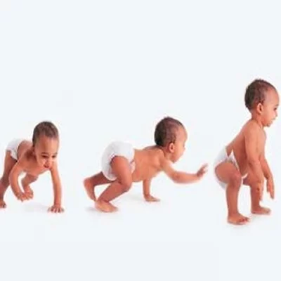 Timeline: Desarrollo Evolutivo Psicomotor de 0 a 24 meses.