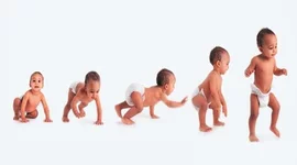 Timeline: Desarrollo Evolutivo Psicomotor de 0 a 24 meses.