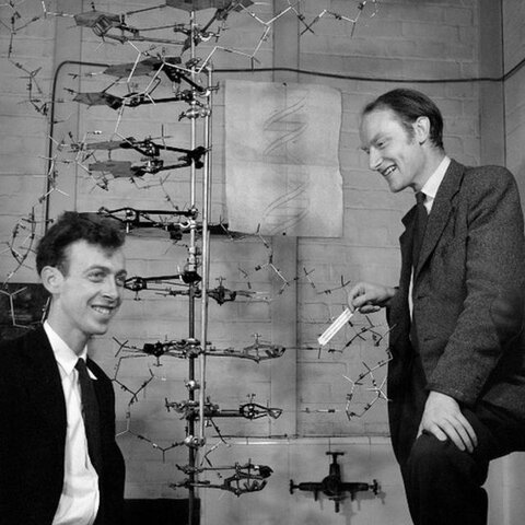 JAMES WATSON Y FRANCIS CRICK