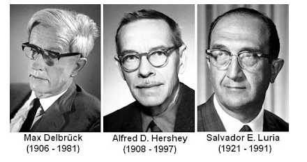 MAX DELBRÜCK, ALFRED D. HERSHEY Y SALVADOR E. LURIA
