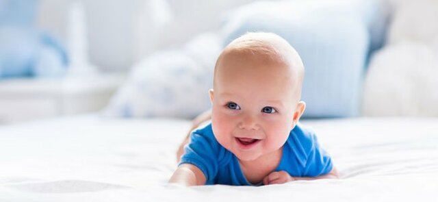 DE 2 A 3 MESES