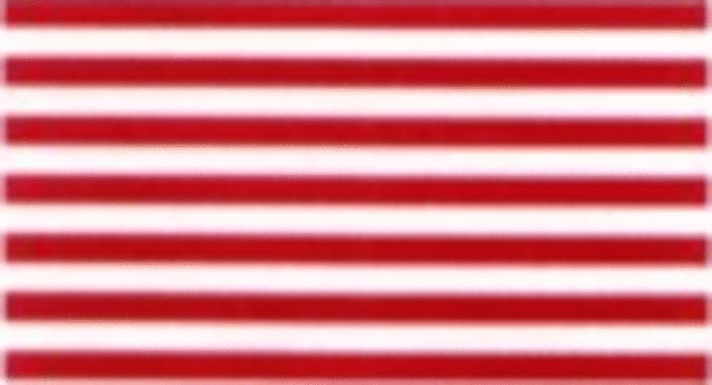 Sons of Liberty Flag