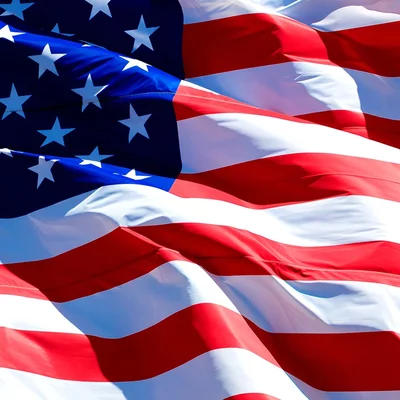 Timeline: US History: VHS Summer: Eevie Booth